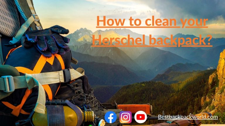How to Clean your Herschel Backpack?