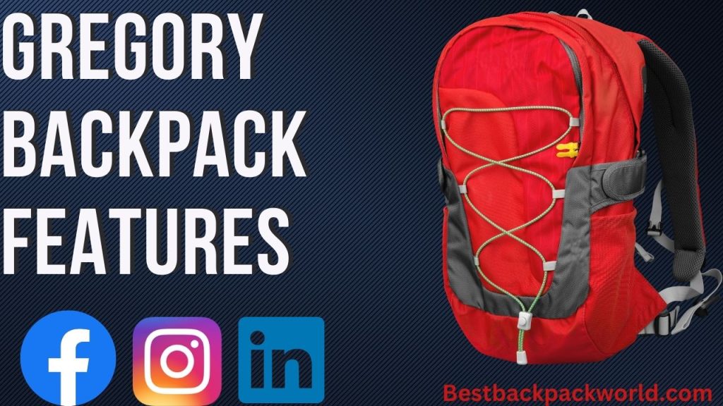 Gregory Backpack Features