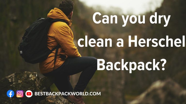 Can you Dry Clean a Herschel Backpack?
