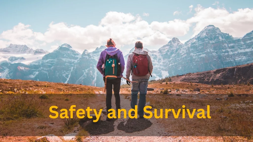 Safety and Survival