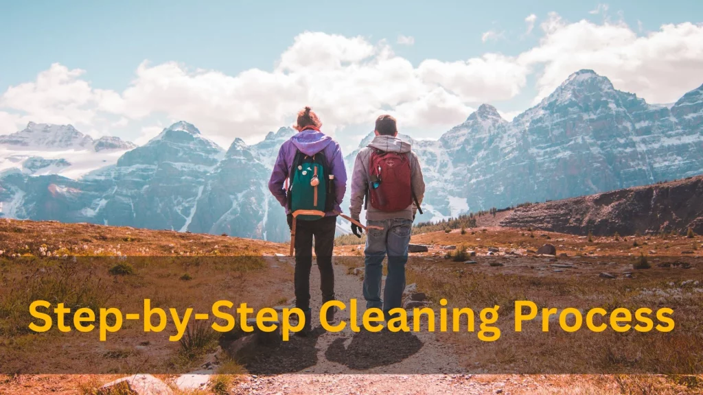 Step-by-Step Cleaning Process
