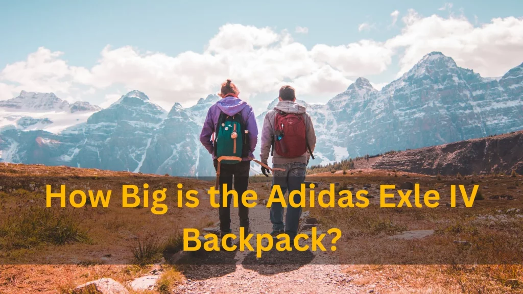 How Big is the Adidas Exle IV Backpack